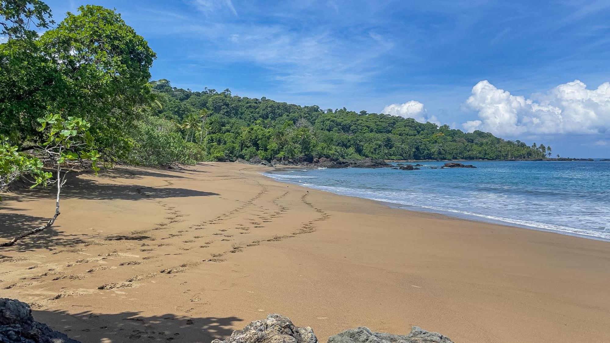 Osa Corcovado Lodge Drake Bay Luaran gambar